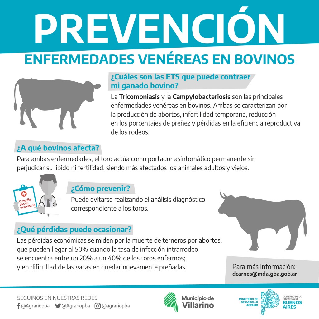 VENEREAS_IG_villarino-01