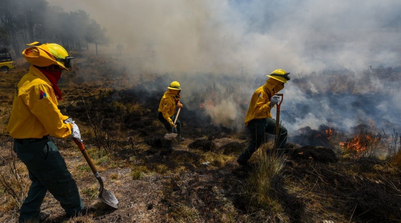 ZINACANTEPEC, ESTADO DE MÉXICO, 24FEBRERO2022.-  Brigadistas de PROBOSQUE realizan labores preventivas previó al inicio de la temporada de estiaje, en lo que va del año se han registrado 91 incendios forestales en algunos municipios de Valle de Bravo, Ixtapaluca, Acambay, Ocuilan, Amecameca y Temascaltepec, con una afectación de más de 350 hectáreas, en el 2021  se registraron 1494 incendios en 79 municipios; actualmente se tienen en activo a 348 combatientes en esta dependencia. FOTO: CRISANTA ESPINOSA AGUILAR /CUARTOSCURO.COM