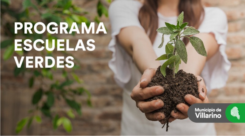 Programa escuelas verdes (Web)