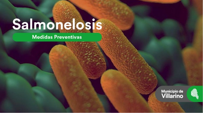 Salmonelosis (Web)