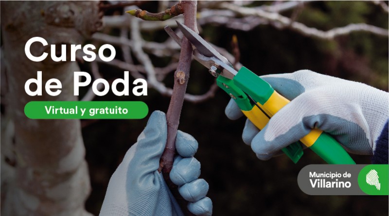 Curso de poda (Web)
