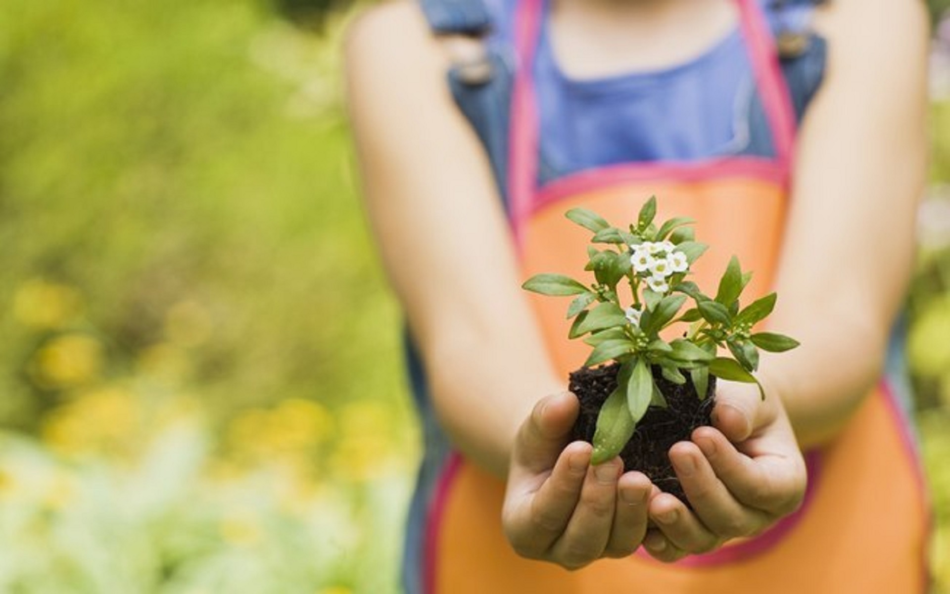 ewvcatvm8yuciefd78dwfve65-1