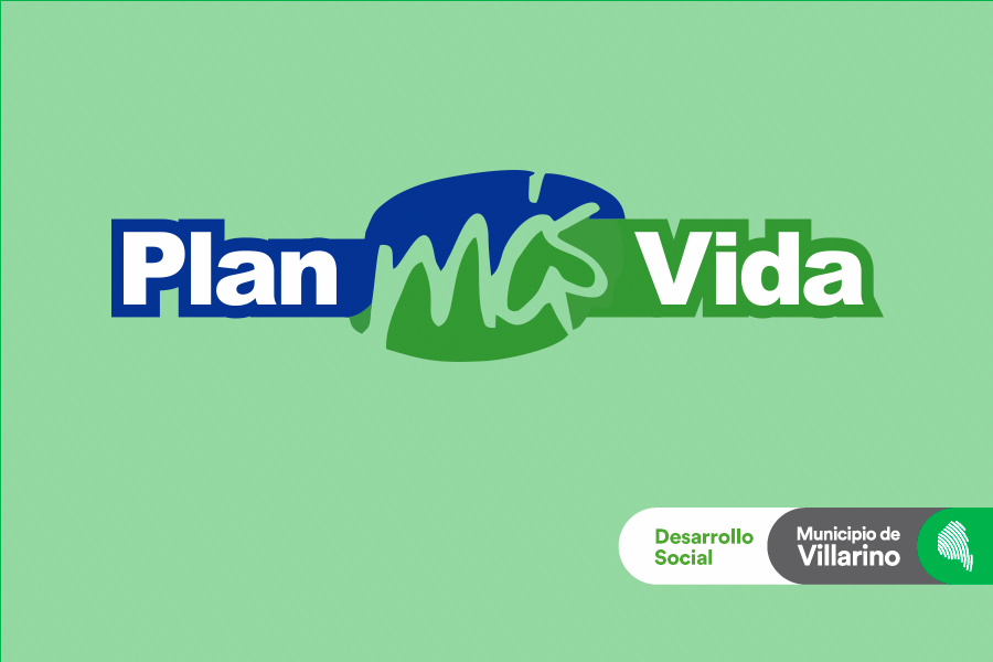 plantilla-WWW_vida