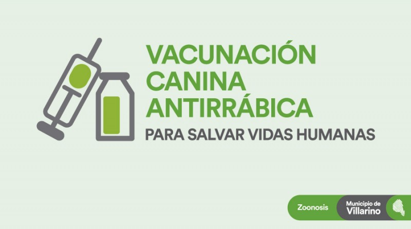 volantes-A5-Rabiaweb