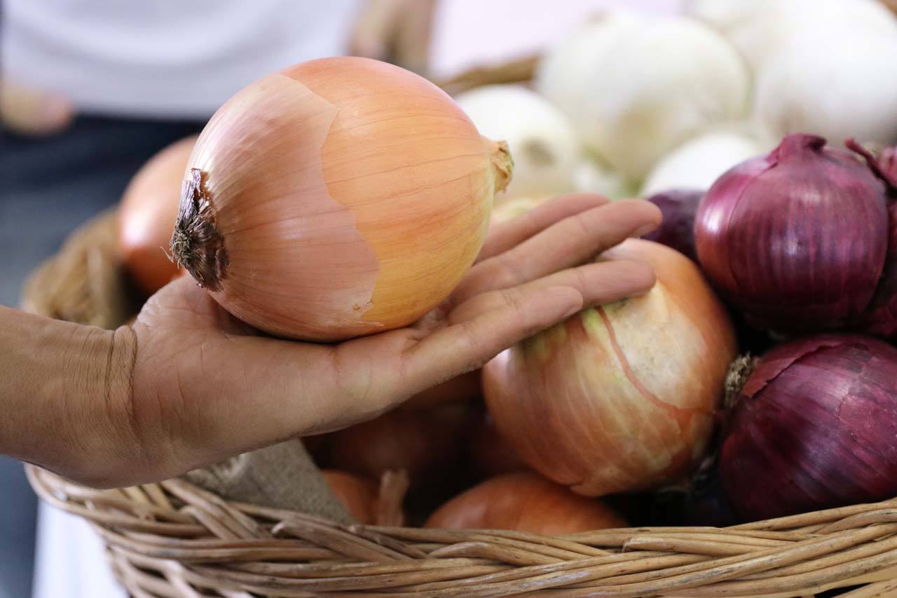 29366269_1641087959304828_8239522160373137408_o