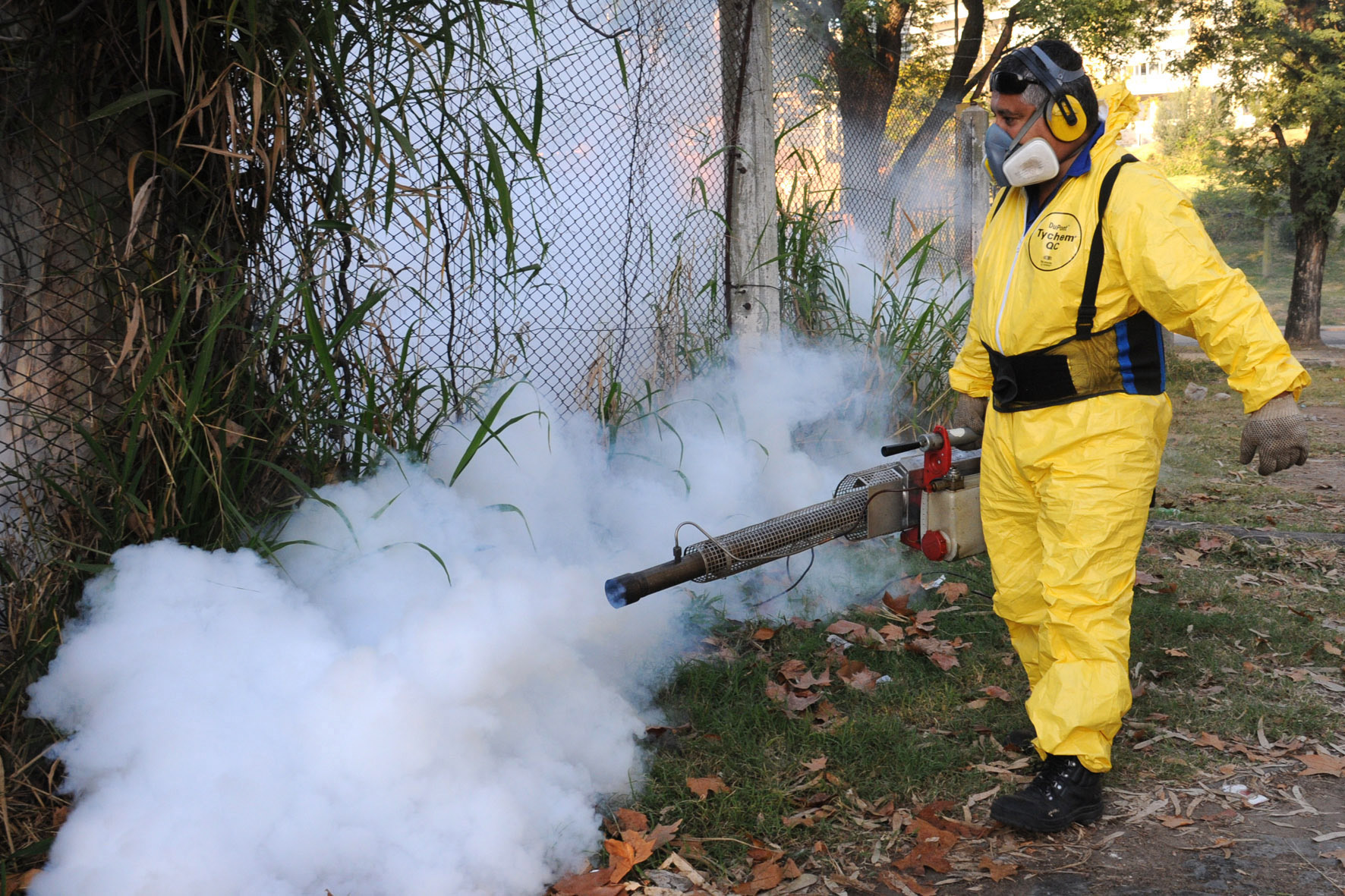 fumigacion_dengue