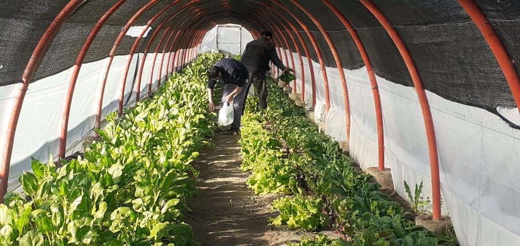 WhatsApp Image 2020-10-14 at 10.21.00 (1)