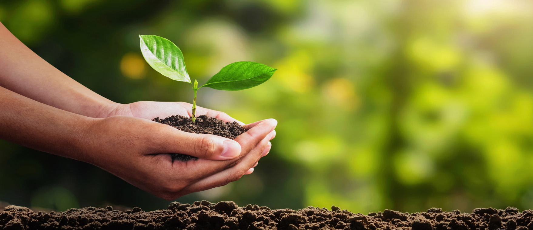 Desarrollo-Sustentable