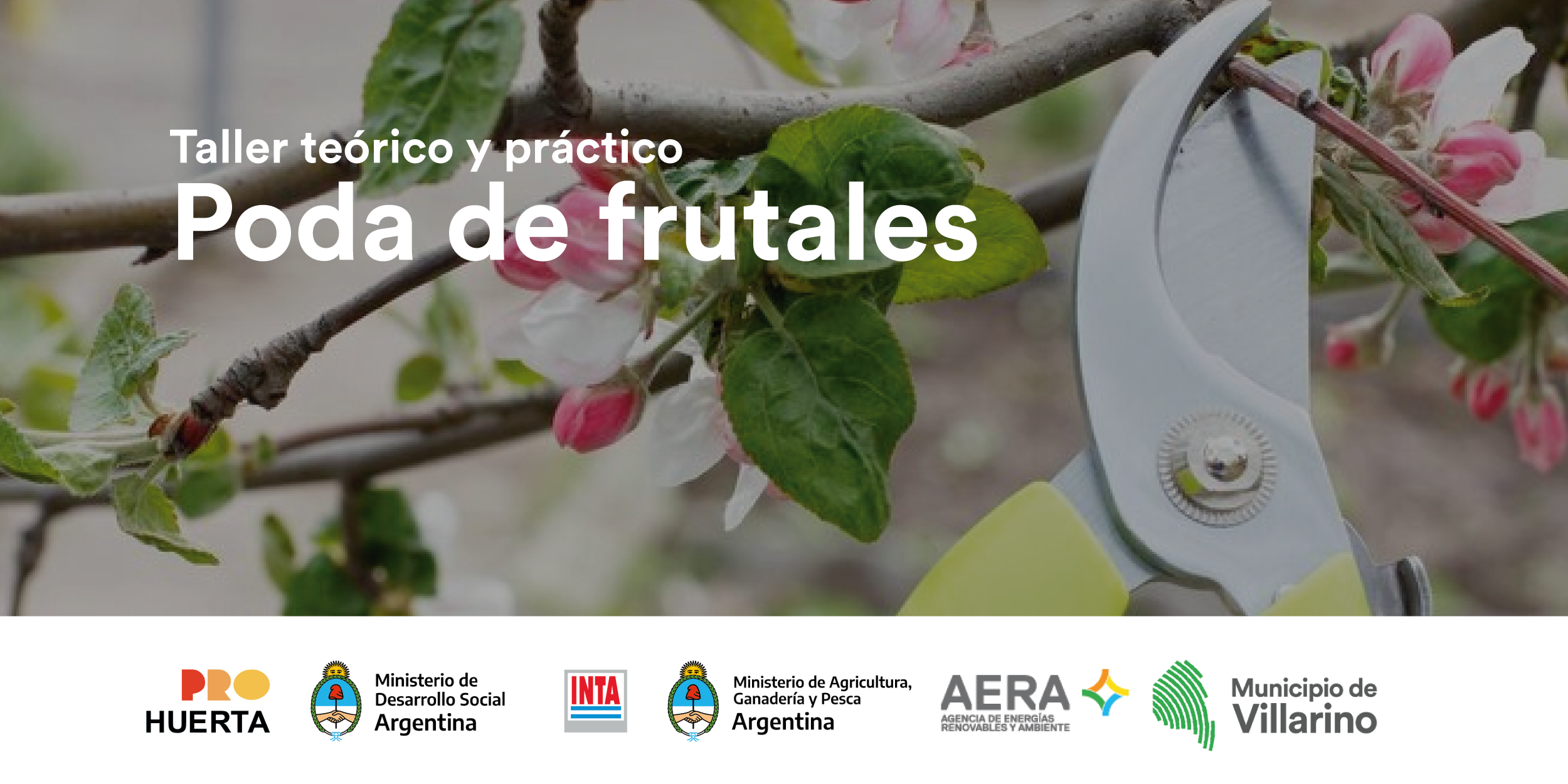 Sin título-1_Mesa de trabajo 1