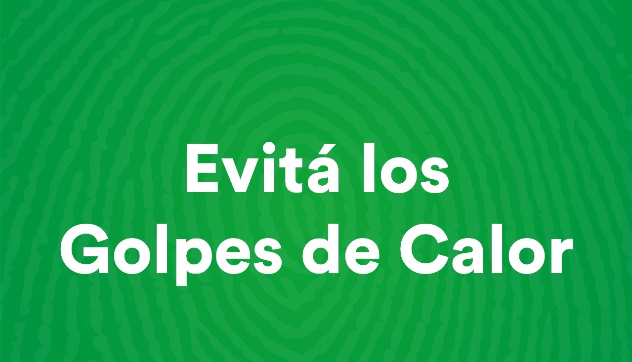 318247448_525016332987722_8321007106405390022_n