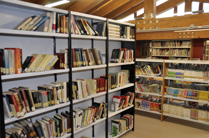 estanterias-libros-biblioteca