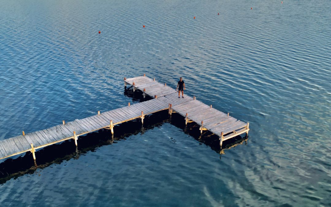 Muestra fotográfica virtual de Matías Bellabarba: retratos únicos de Lago Parque La Salada