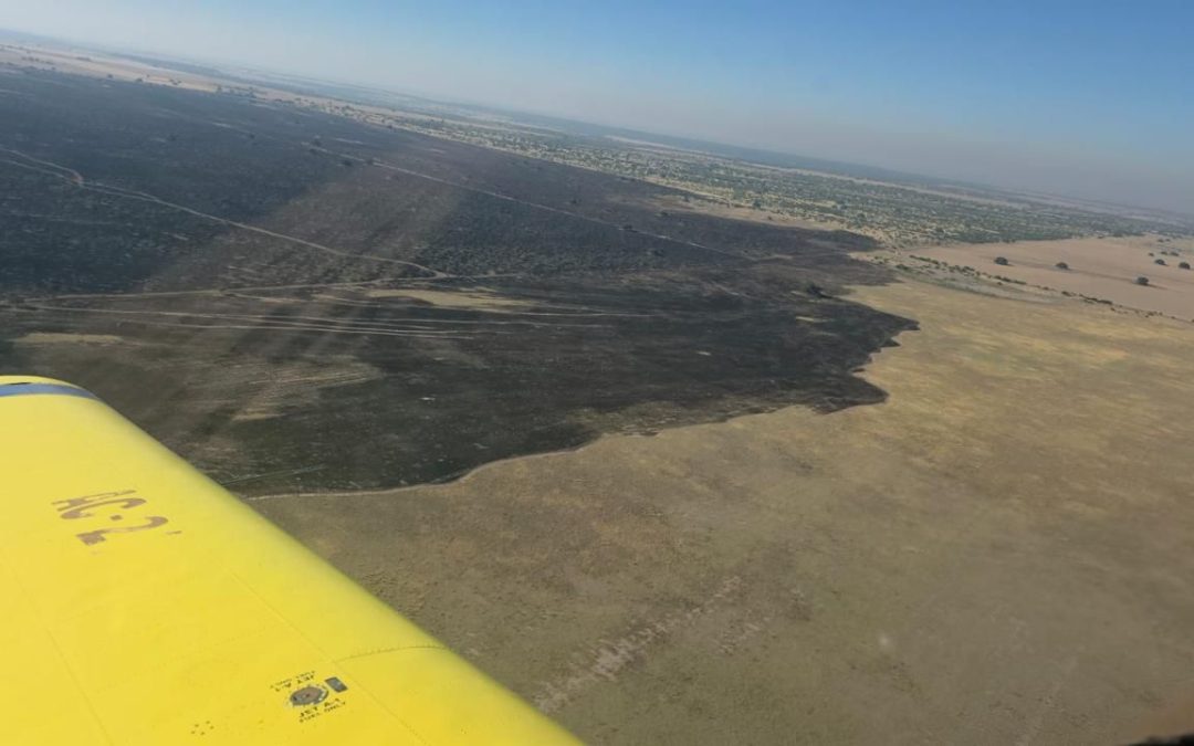 Estado de situación – Incendios en el distrito de Villarino
