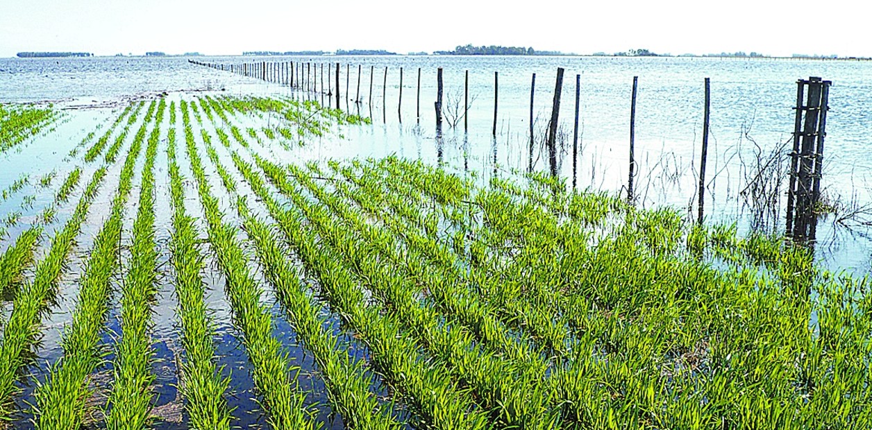 CREATOR: gd-jpeg v1.0 (using IJG JPEG v62), quality = 100